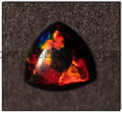 OPAL-4009-thumb.jpg